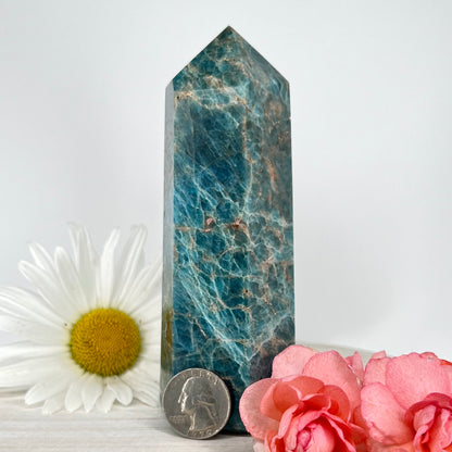 Apatite // Blue // Tower