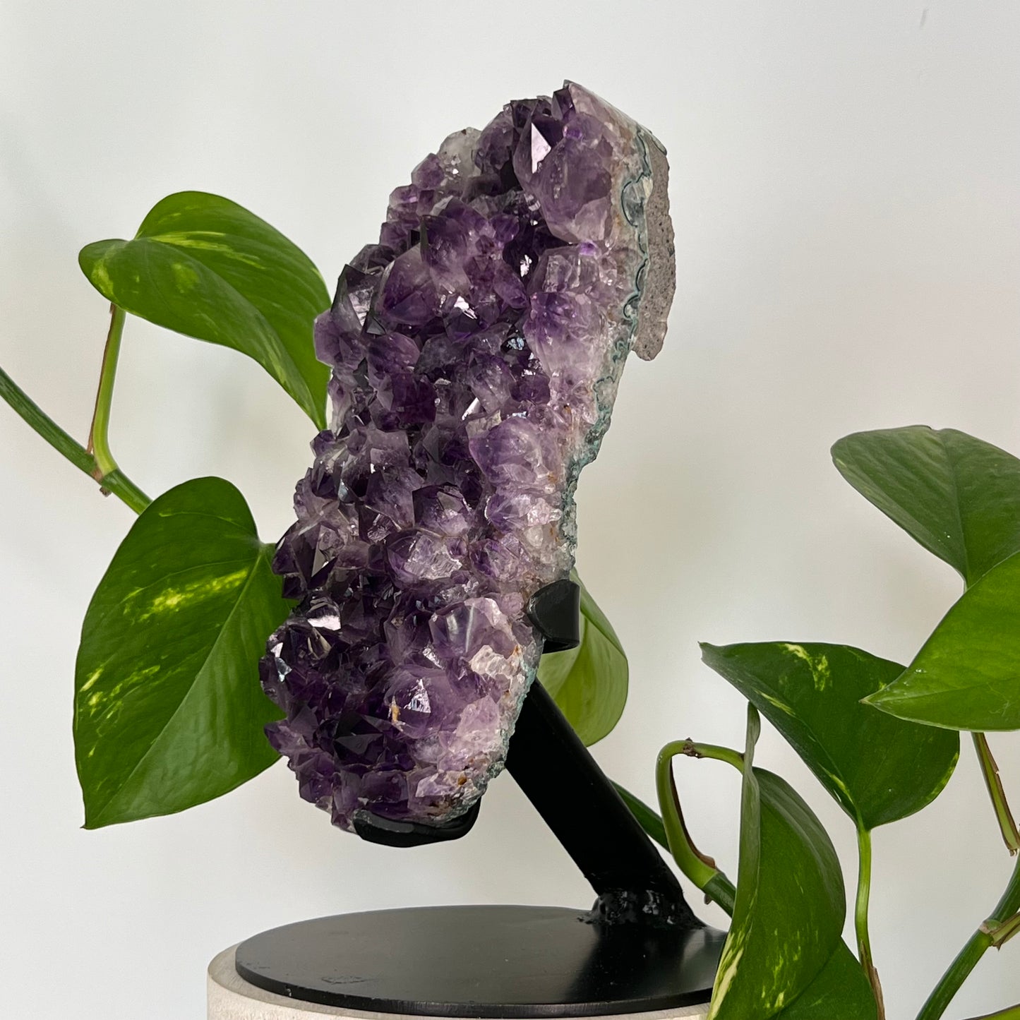 Amethyst // Cluster // w/ Stand