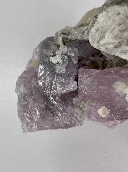 Spinel // Purple // Mineral // Specimen