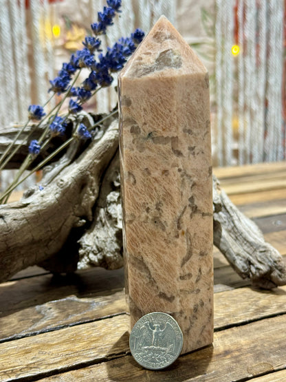 Zebra Moonstone // Tower