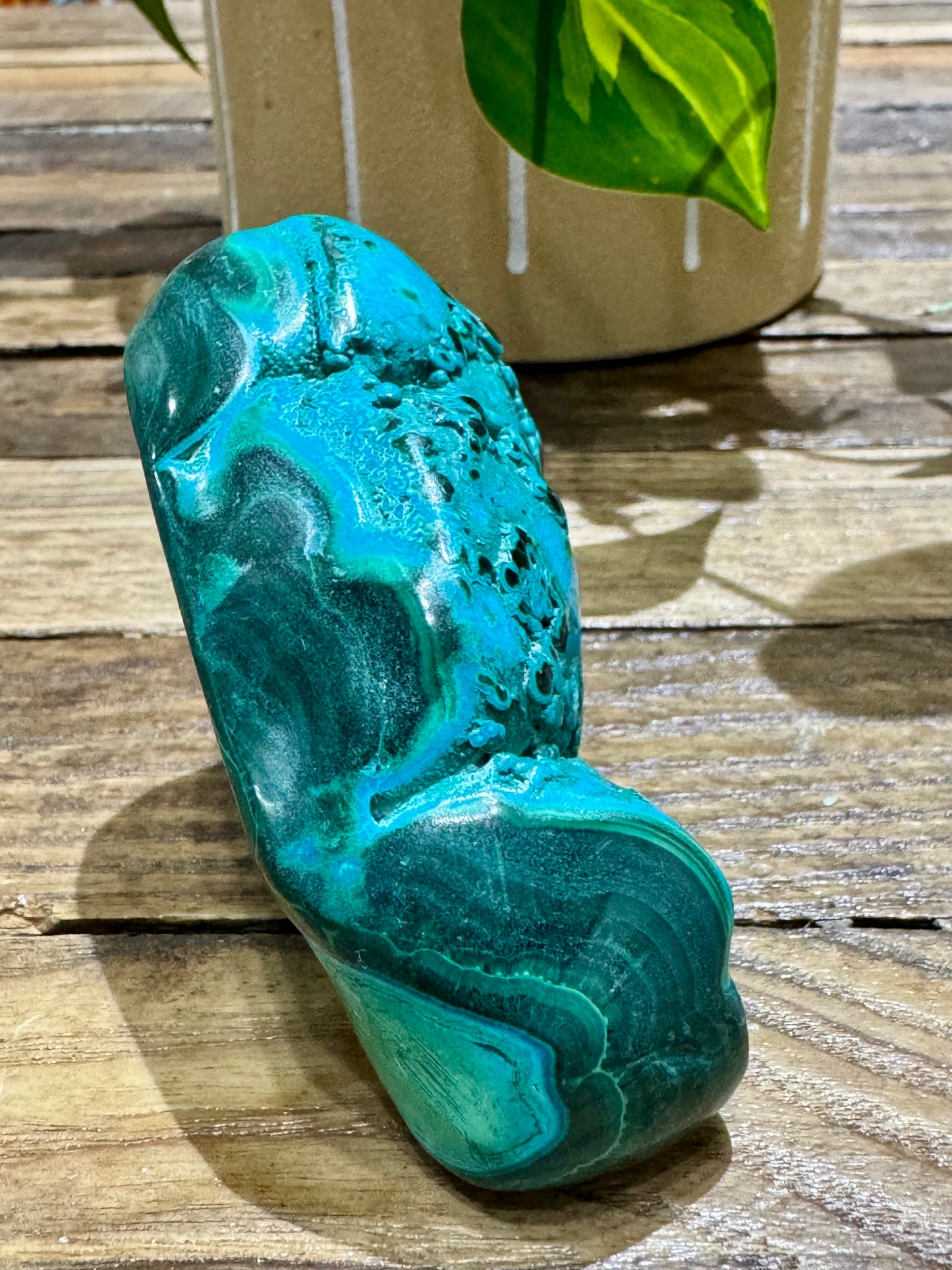 Malacholla // Free Form - SolRising The Rock Shop