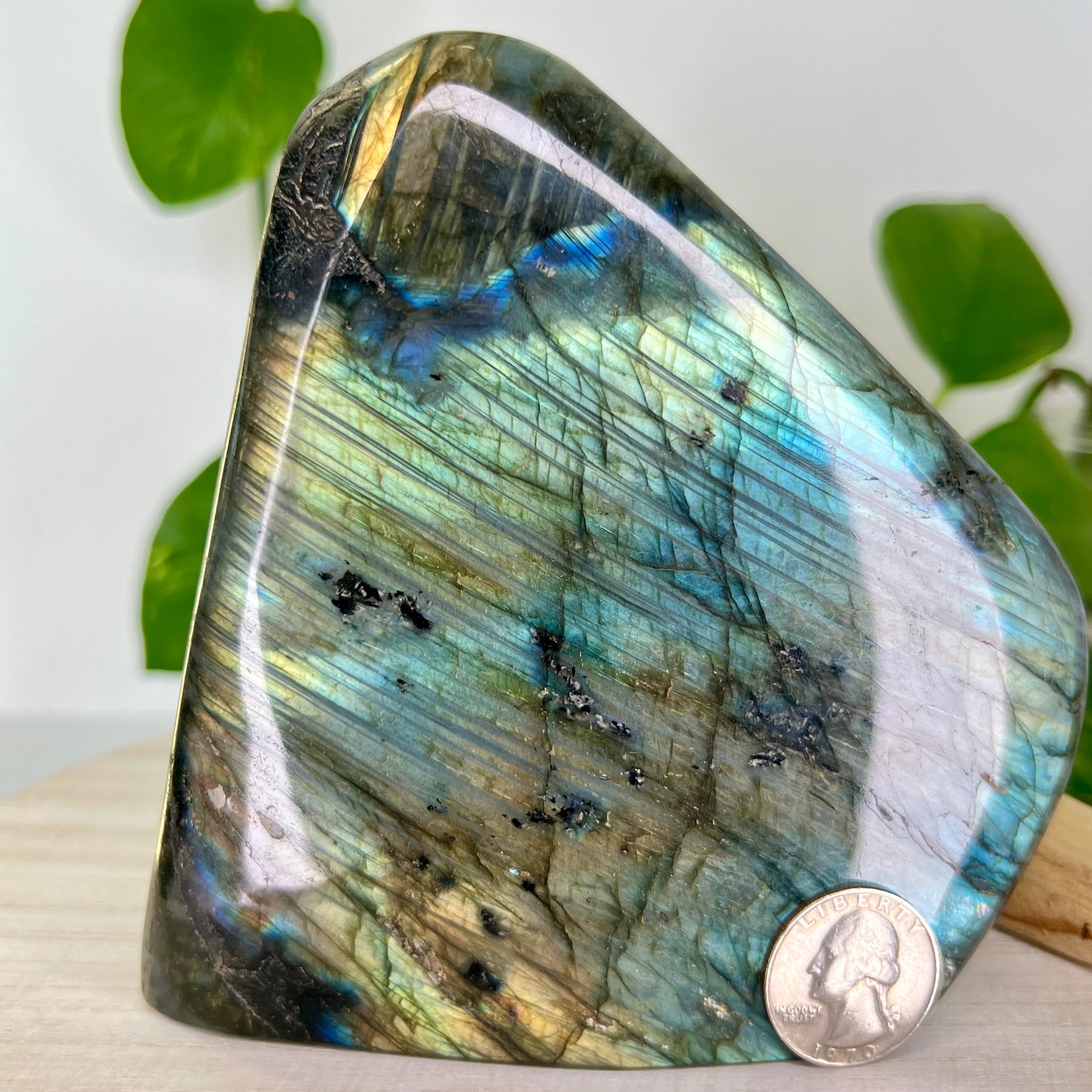 Labradorite // Free Form