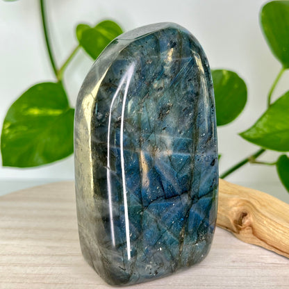 Labradorite // Free Form