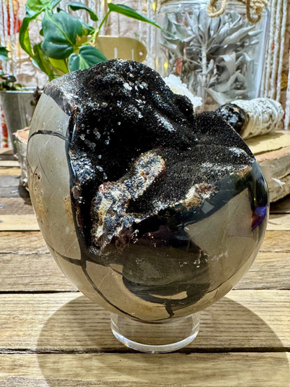 Septarian // Dragon // Egg