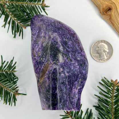 Charoite // Standing Free Forms