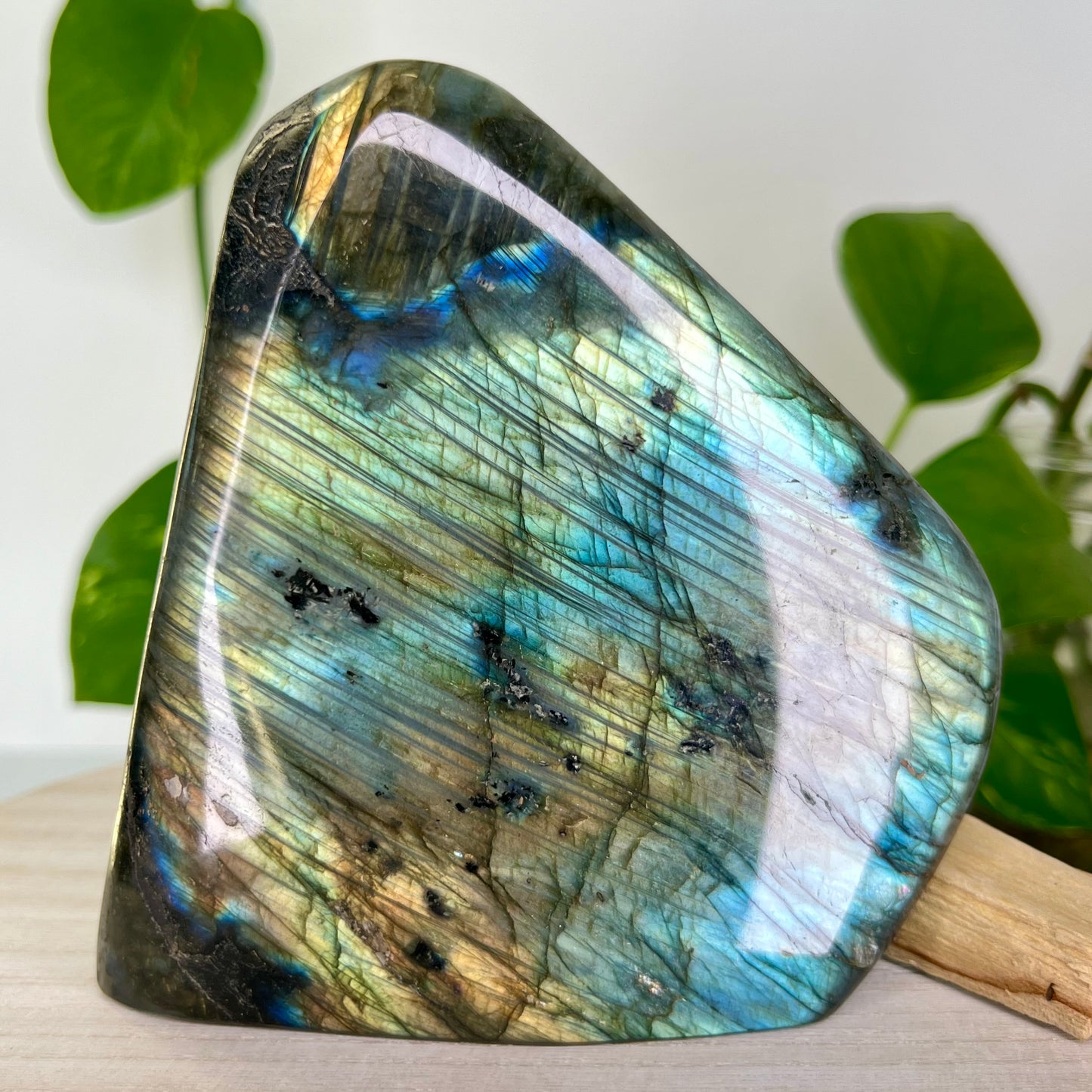 Labradorite // Free Form