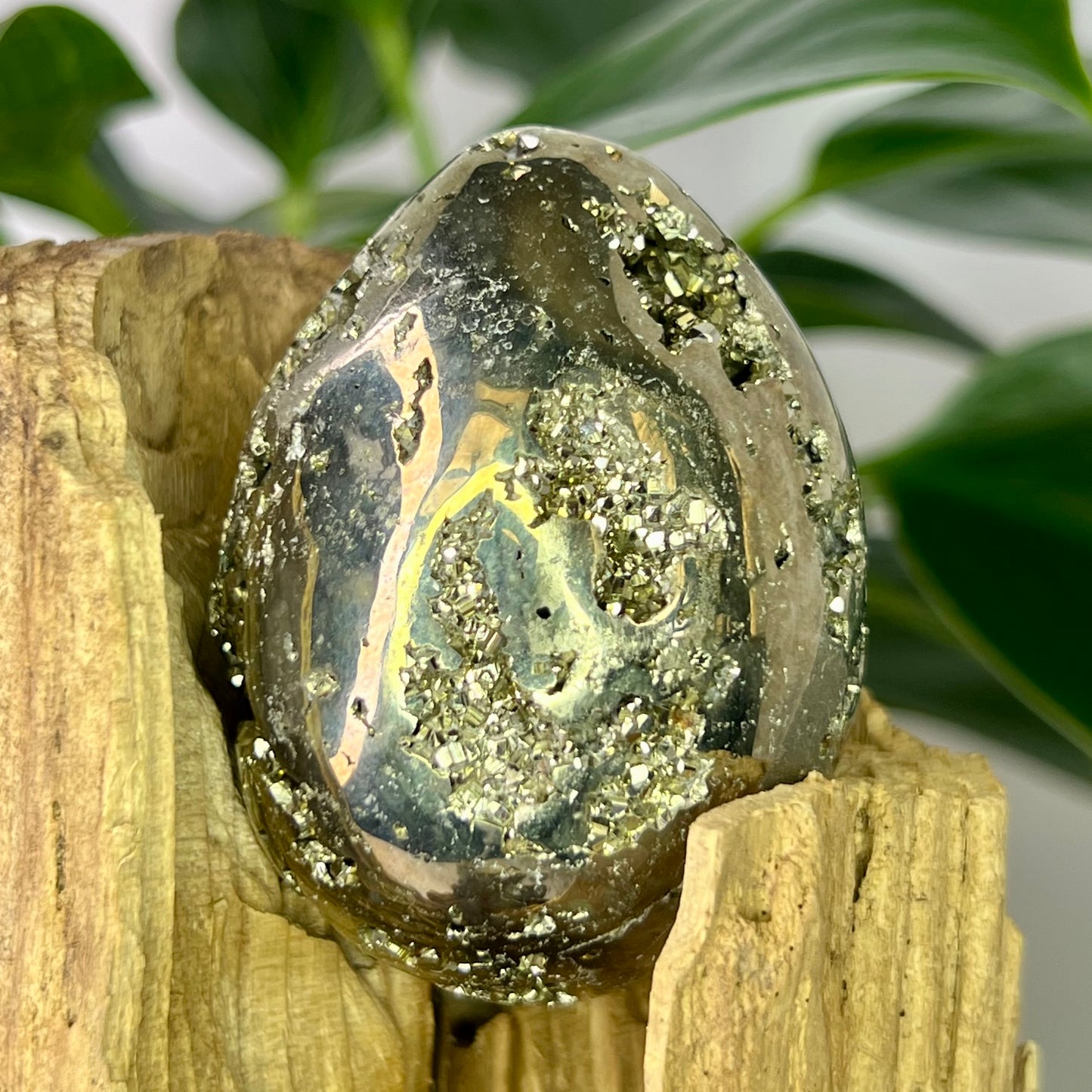 Pyrite // Egg