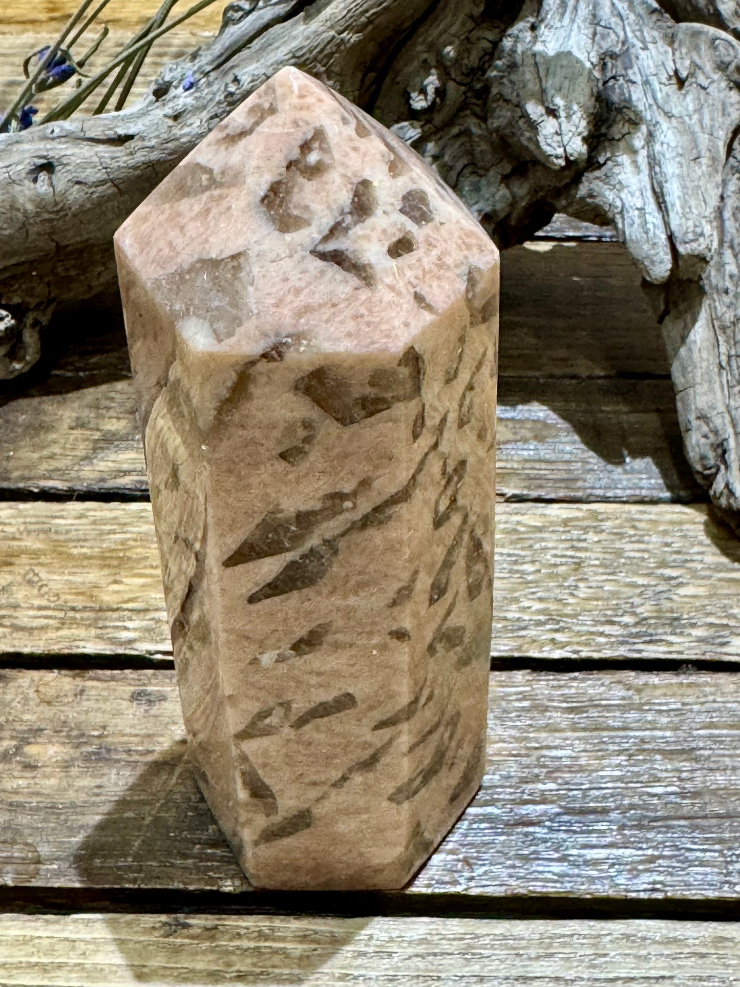 Zebra Moonstone // Tower