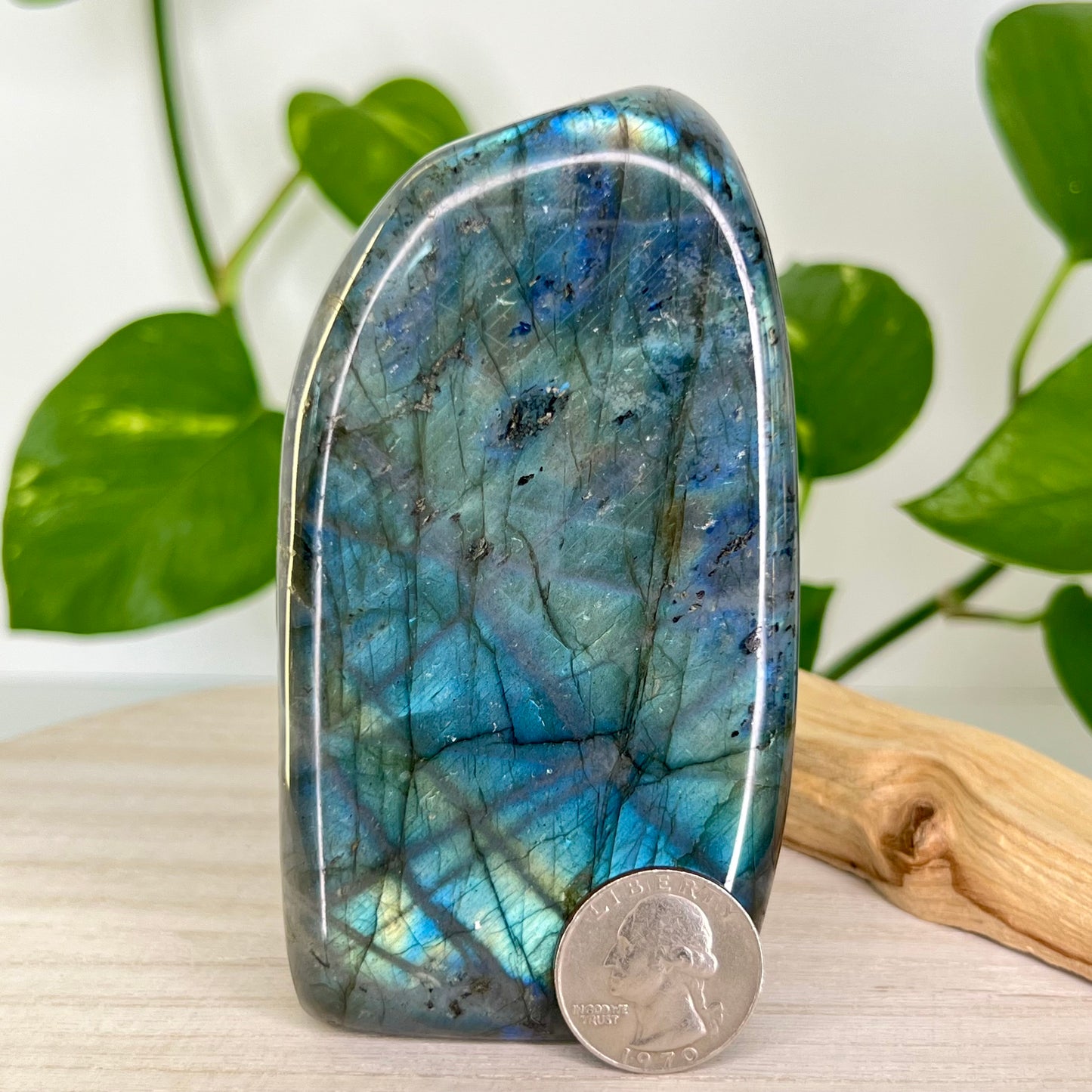 Labradorite // Free Form