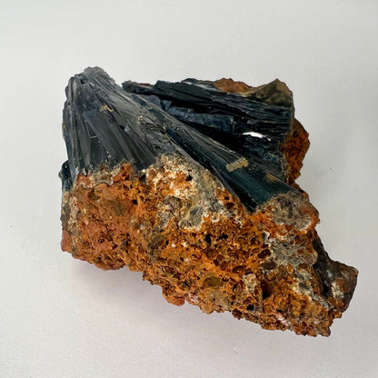Vivianite // Natural Mineral // In Matrix