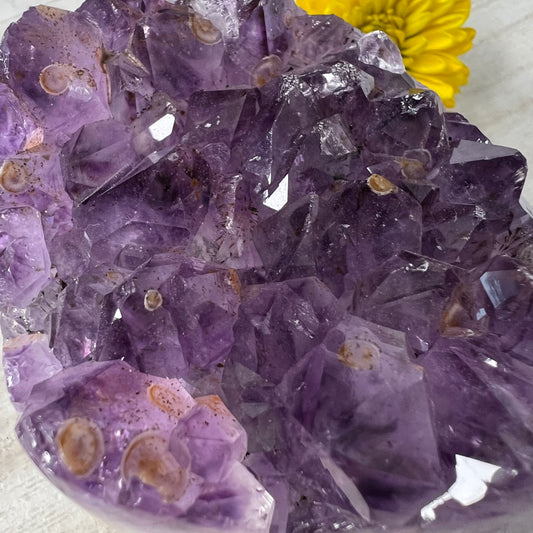 Amethyst // Cluster