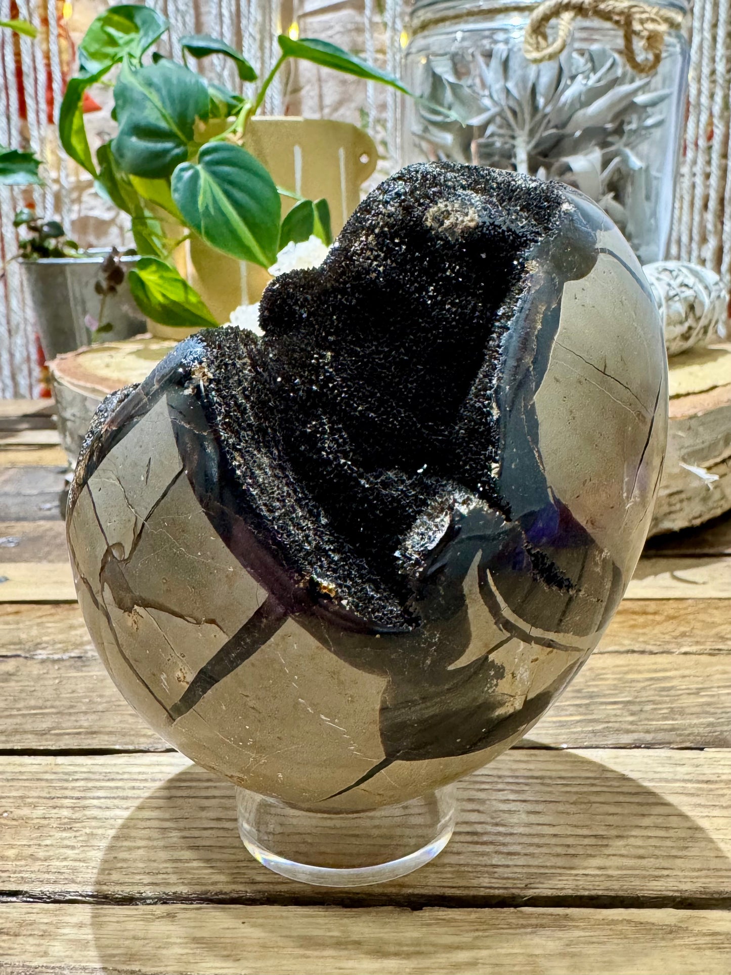 Septarian // Dragon // Egg