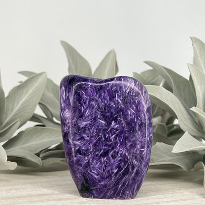 Charoite // Standing Free Forms