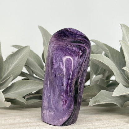 Charoite // Standing Free Forms