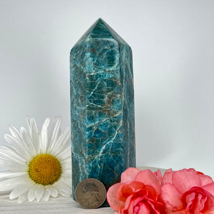 Apatite // Blue // Tower