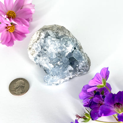 Celestite // Cluster