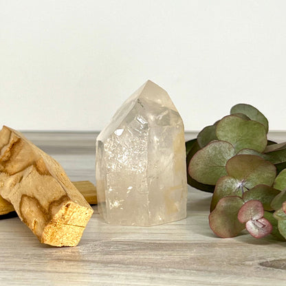 Quartz // Clear // Natural // Point