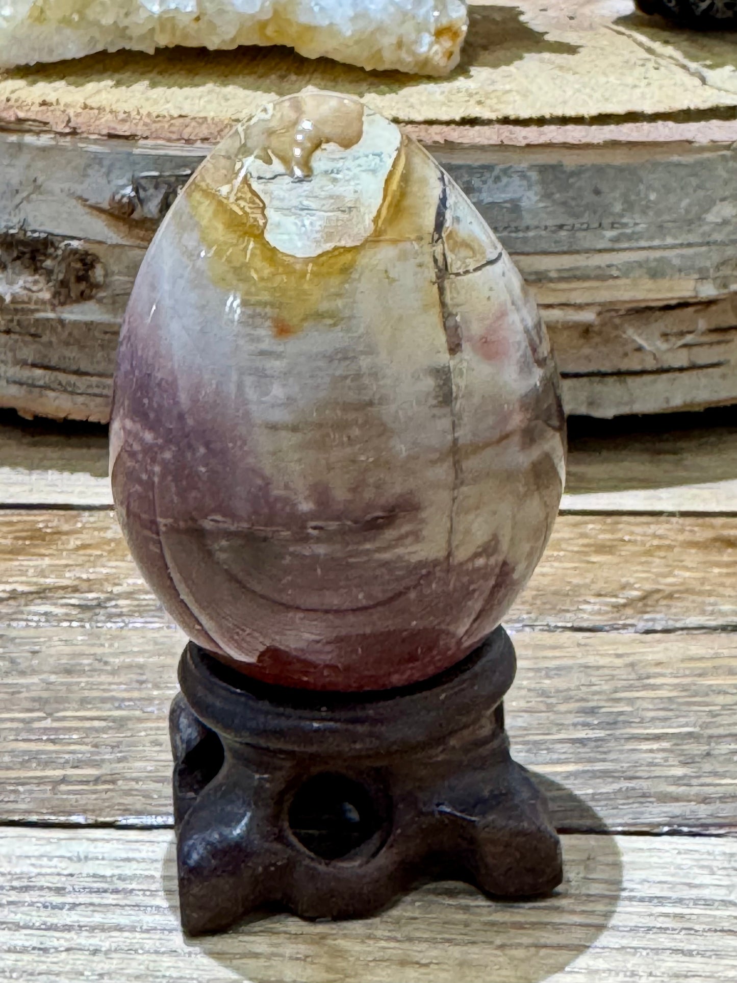 Petrified Wood // Egg