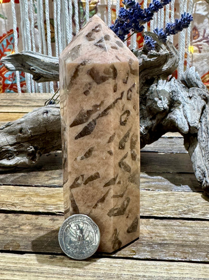 Zebra Moonstone // Tower