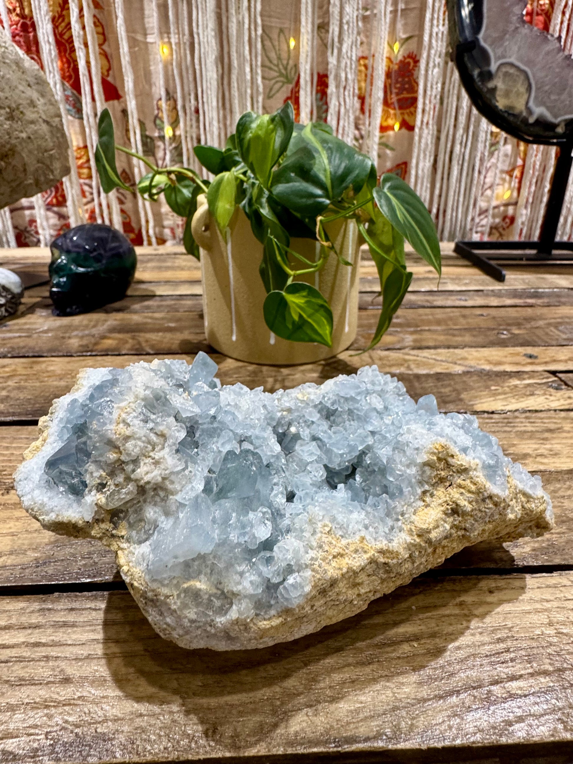 Celestite // Cluster - SolRising The Rock Shop