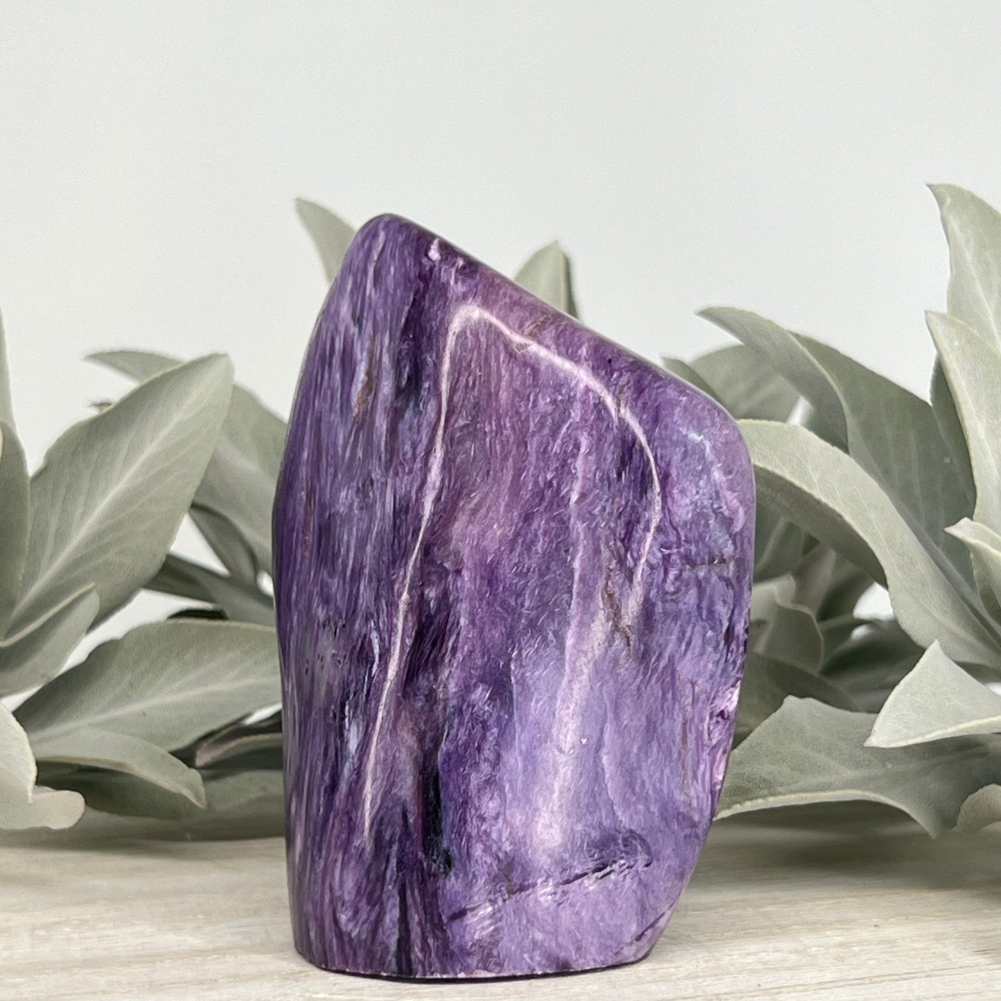 Charoite // Standing Free Forms