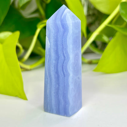 Blue Lace Agate // Tower