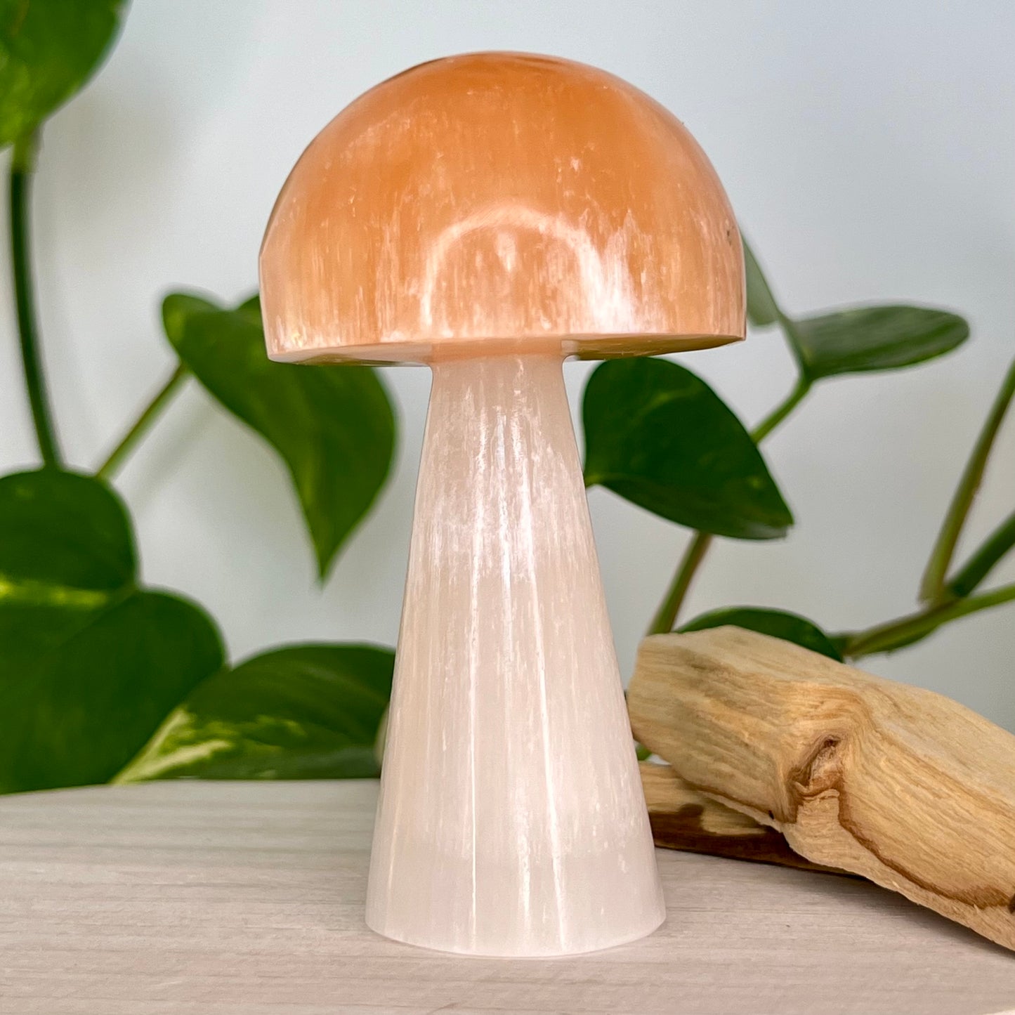 Selenite // White // Orange // Mushroom
