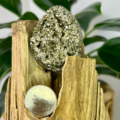 Pyrite // Egg