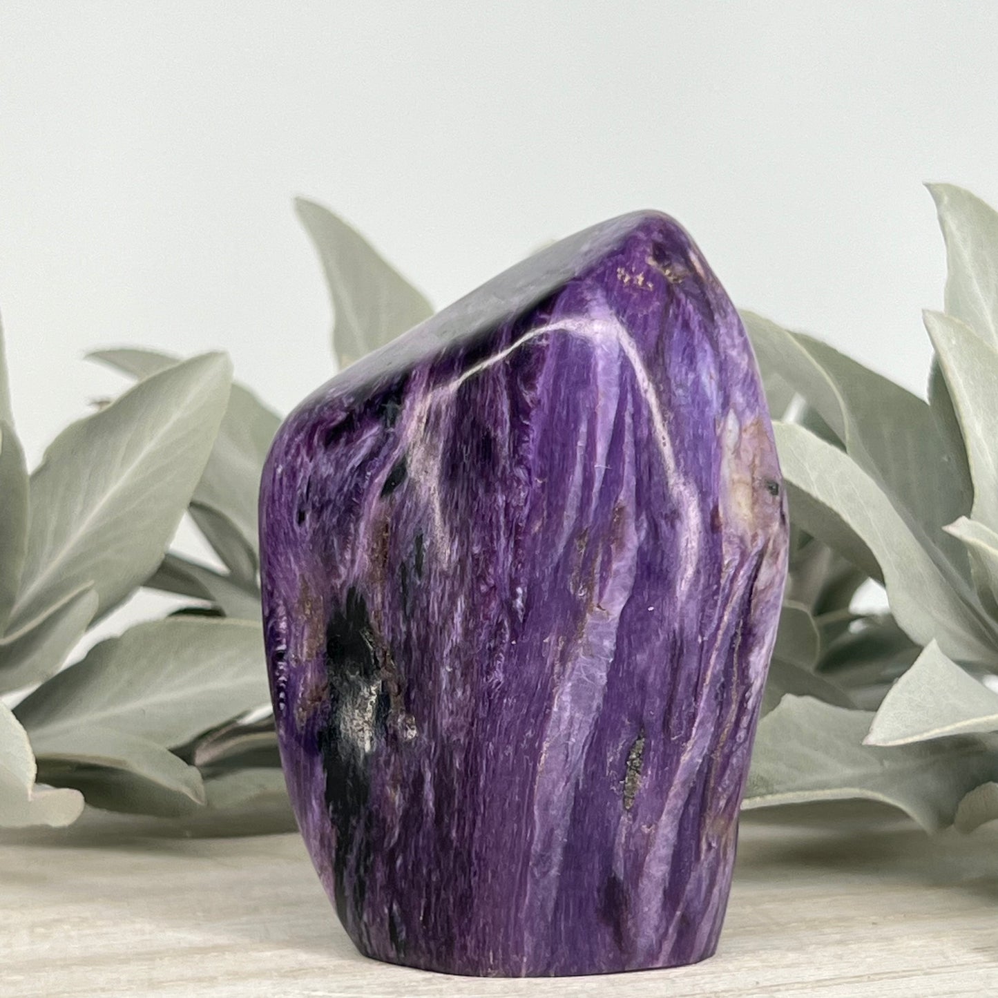 Charoite // Standing Free Forms