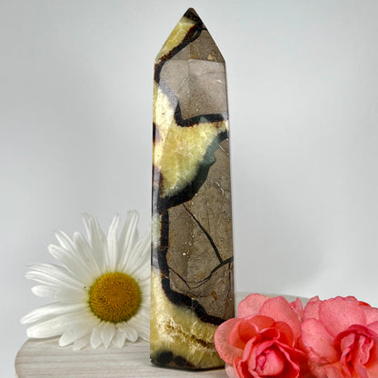 Septarian // Tower