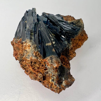 Vivianite // Natural Mineral // In Matrix