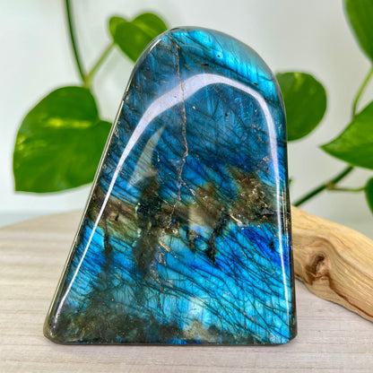 Labradorite // Free Form