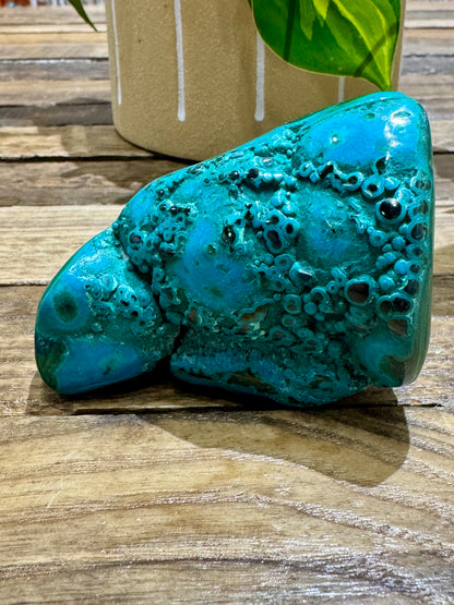 Malacholla // Free Form - SolRising The Rock Shop