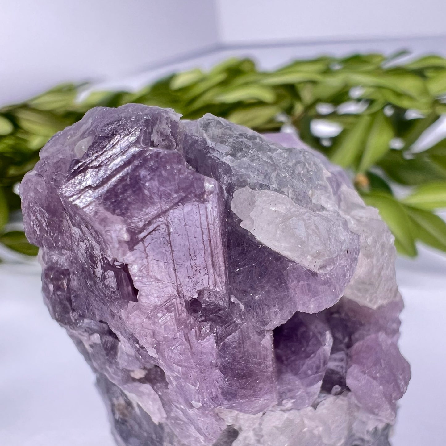 Spinel // Purple // Mineral // Specimen