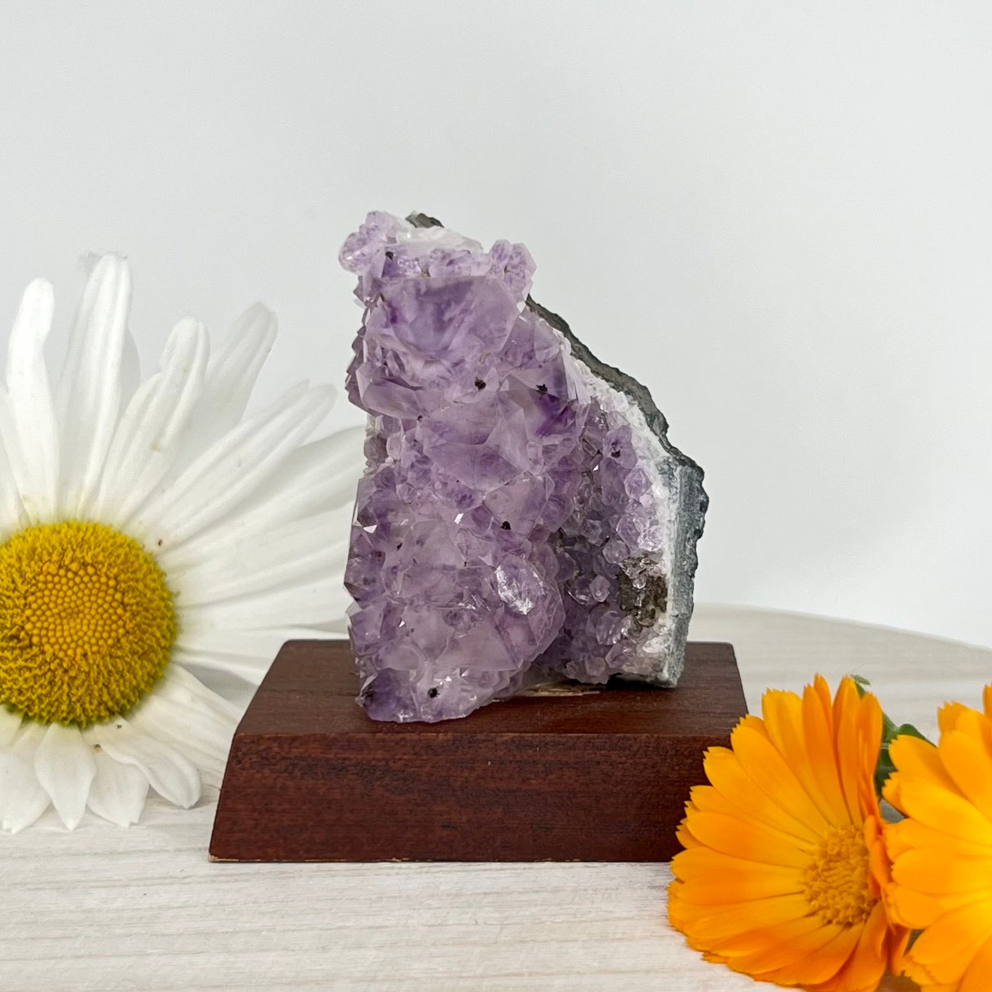 Amethyst // Cluster // Wood Base