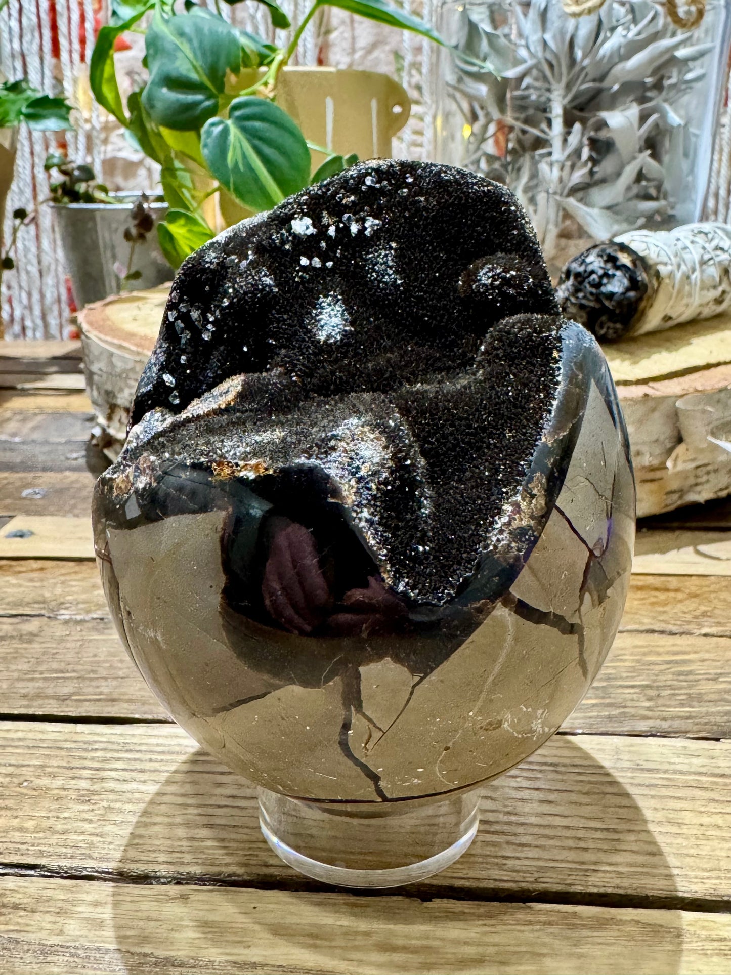 Septarian // Dragon // Egg