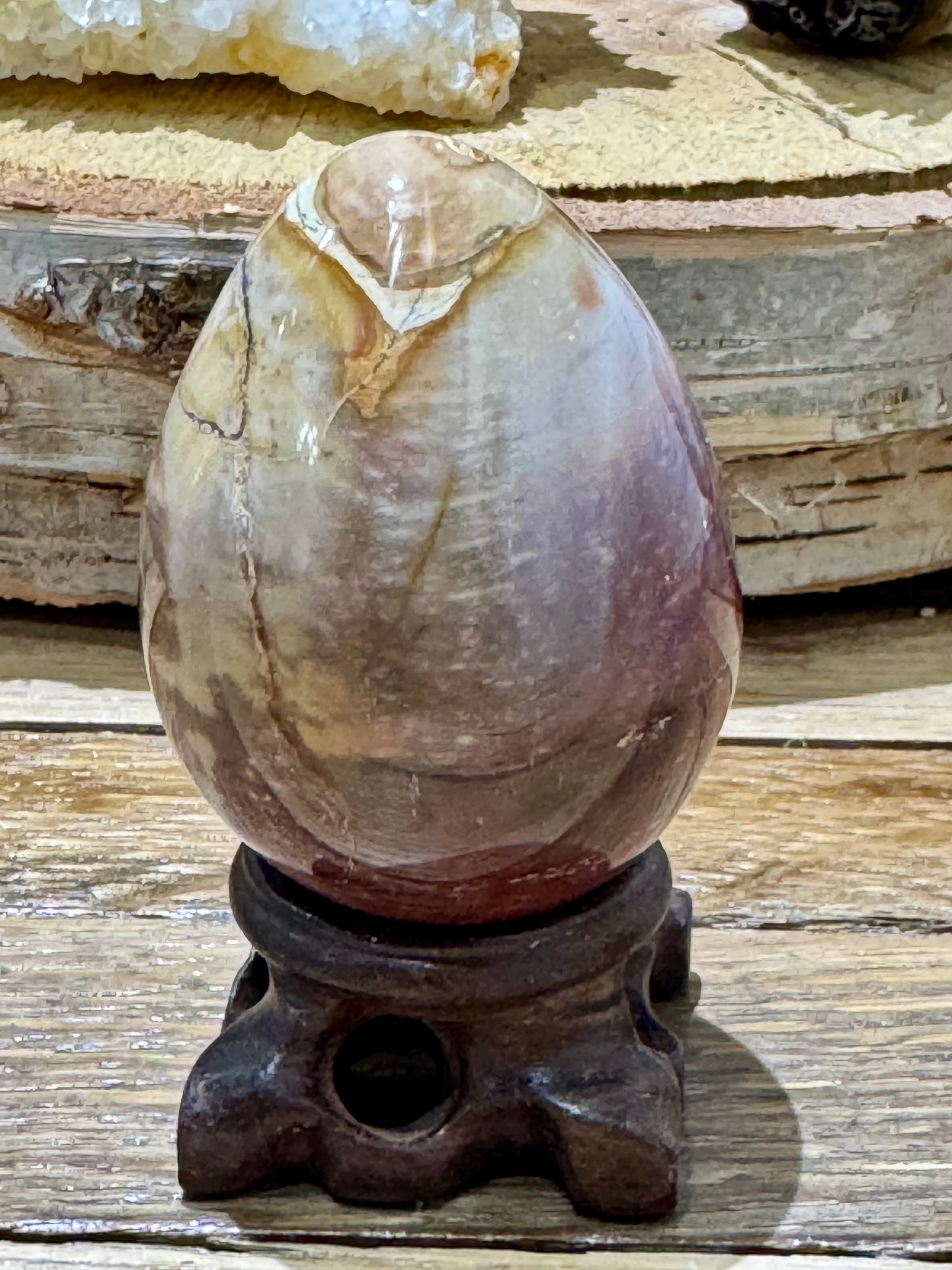 Petrified Wood // Egg