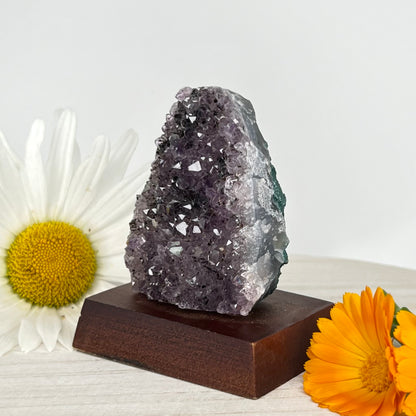 Amethyst // Cluster // Wood Base