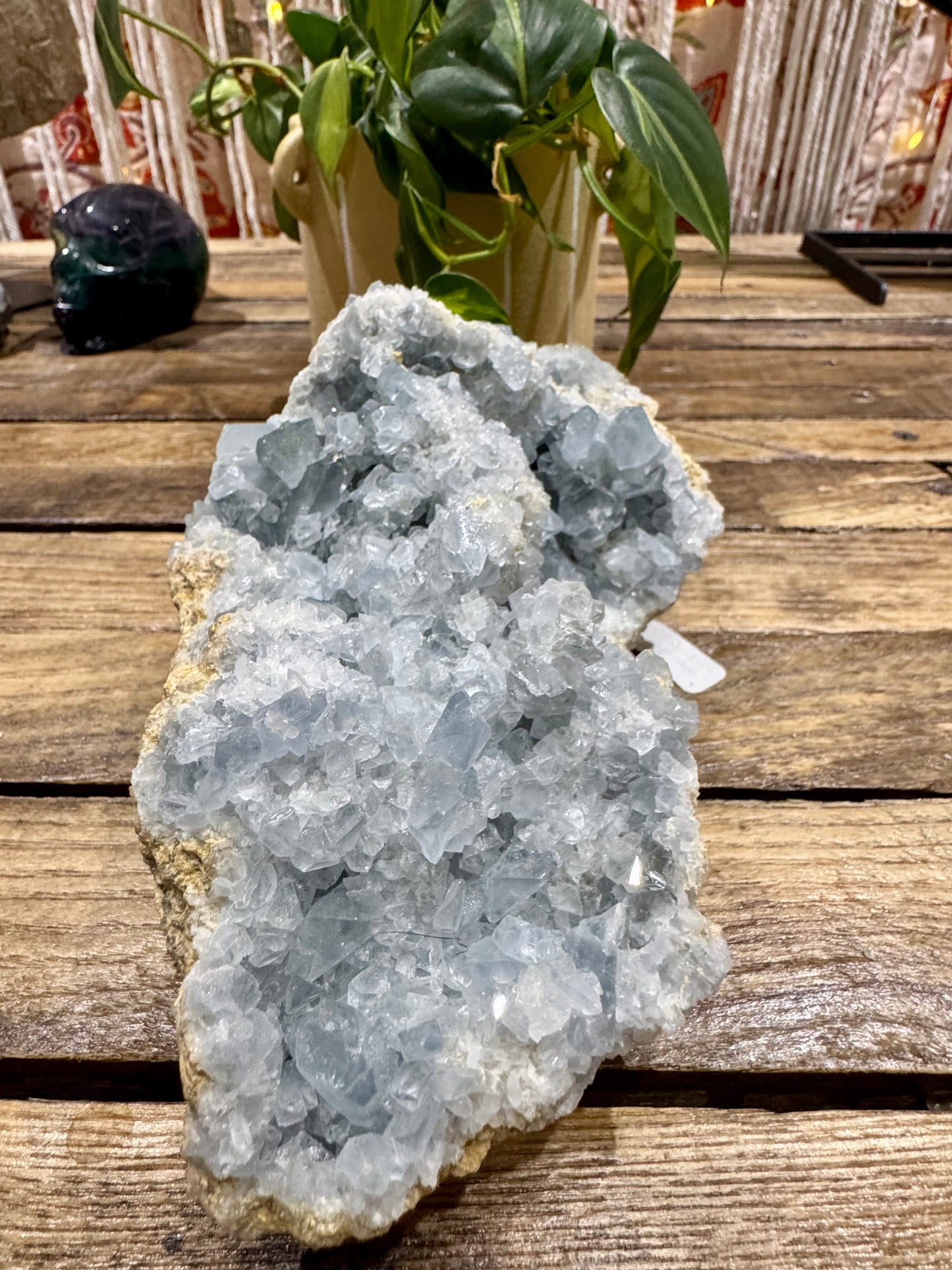 Celestite // Cluster - SolRising The Rock Shop