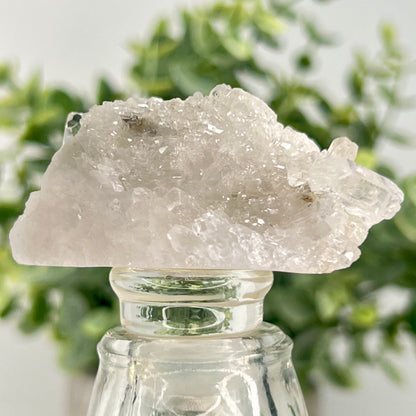 Quartz // Clear // Wine Stopper