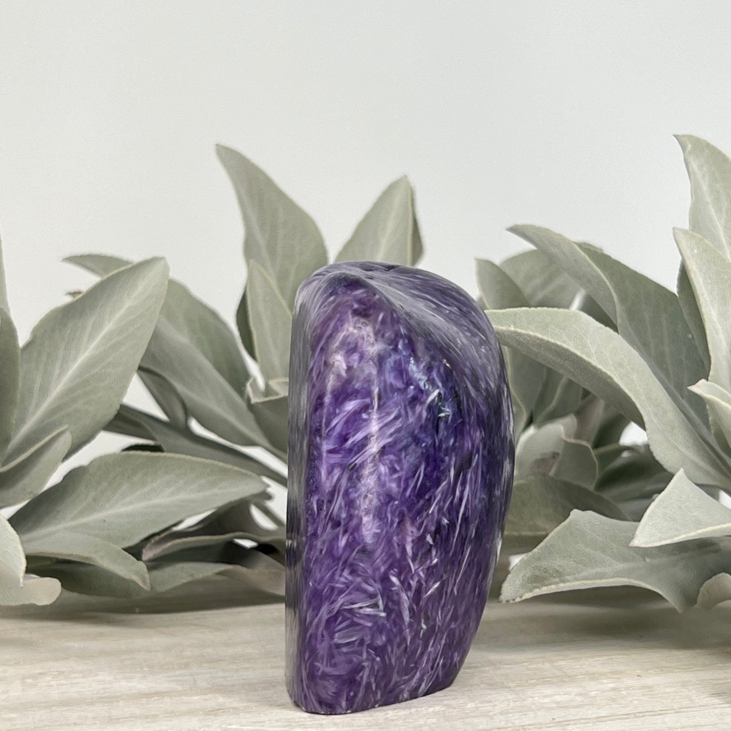 Charoite // Standing Free Forms