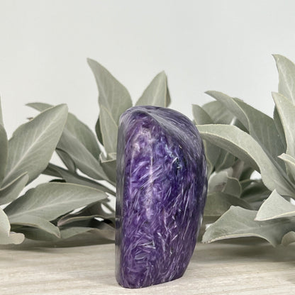 Charoite // Standing Free Forms