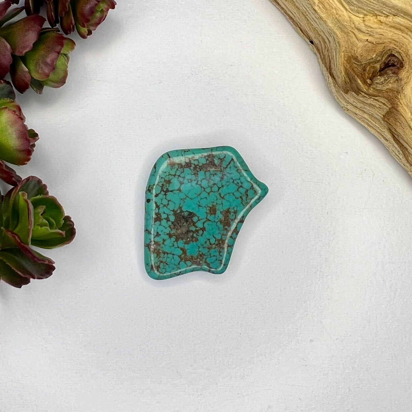 Turquoise // Polished Piece