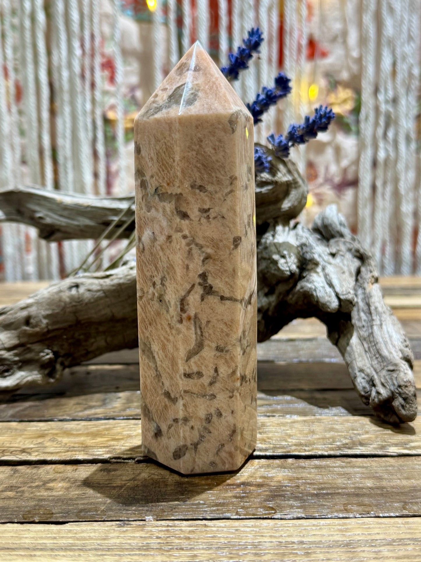 Zebra Moonstone // Tower