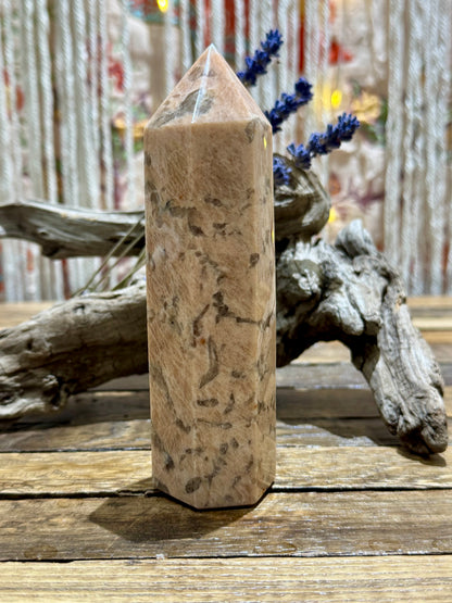 Zebra Moonstone // Tower