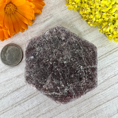 Ruby - Raw Hexagon Corundum w/ Record Keepers