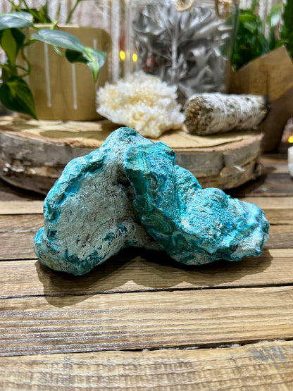 Malacholla // Mineral Specimen // Rough