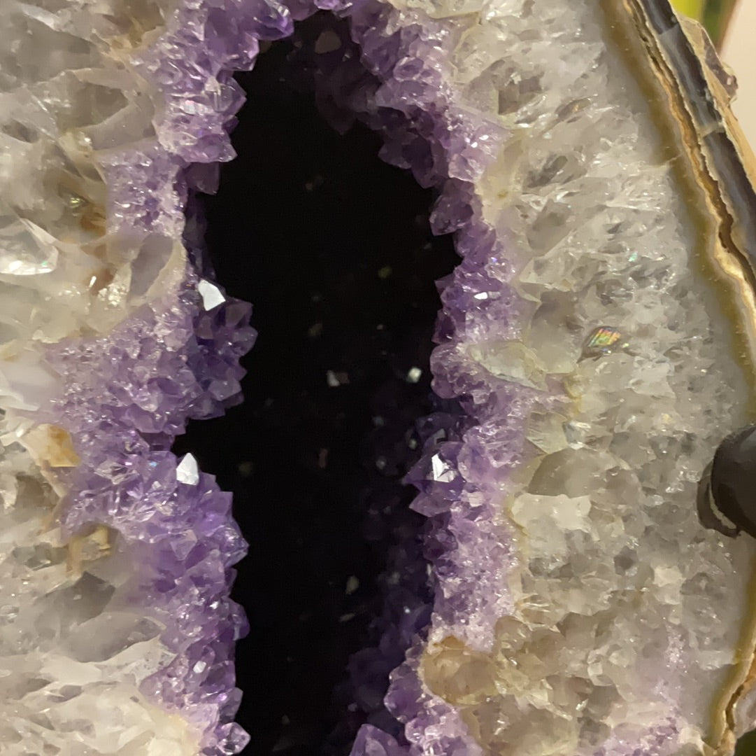 Amethyst // Geode // Large // Metal Stand