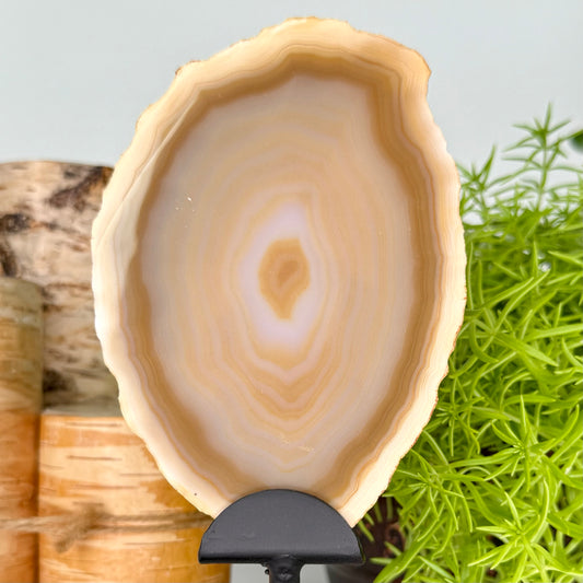 Agate // Slab