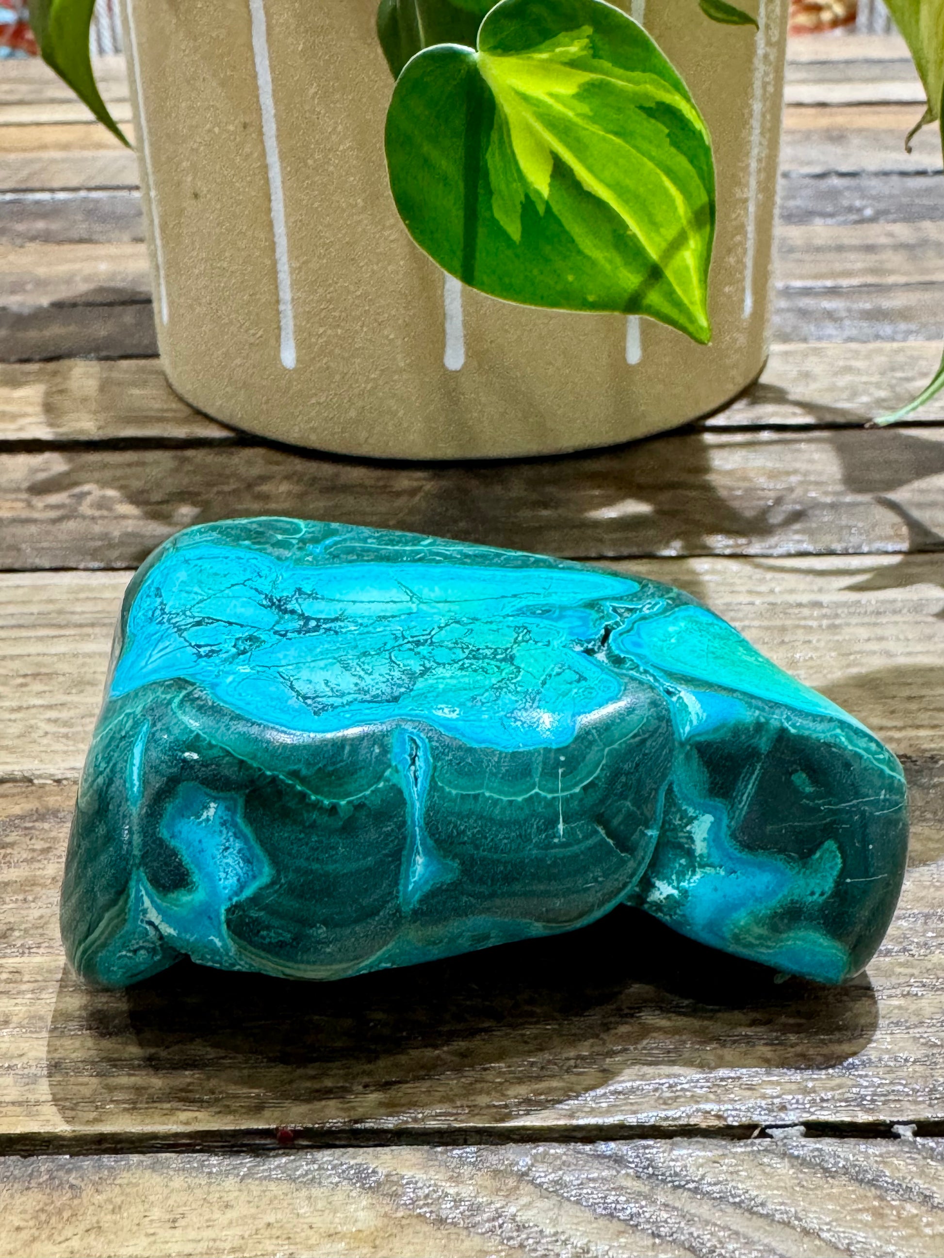 Malacholla // Free Form - SolRising The Rock Shop